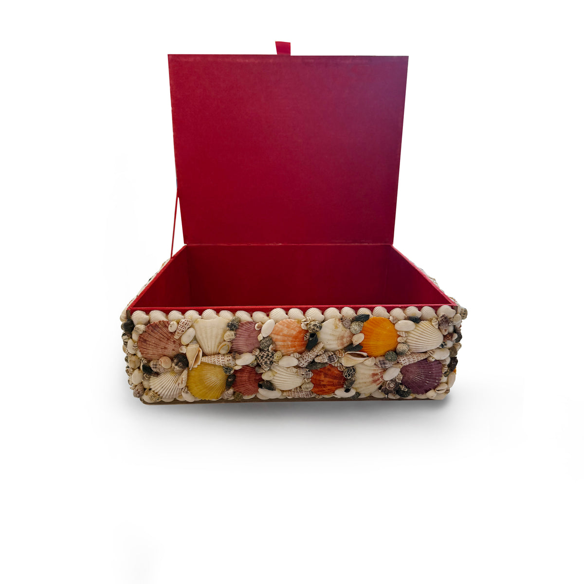 XL Multi-Color Shell Box