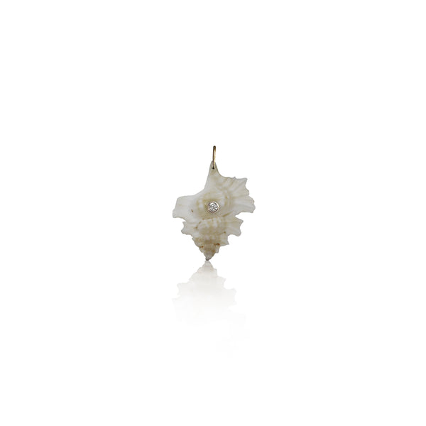 14k Shell Charm