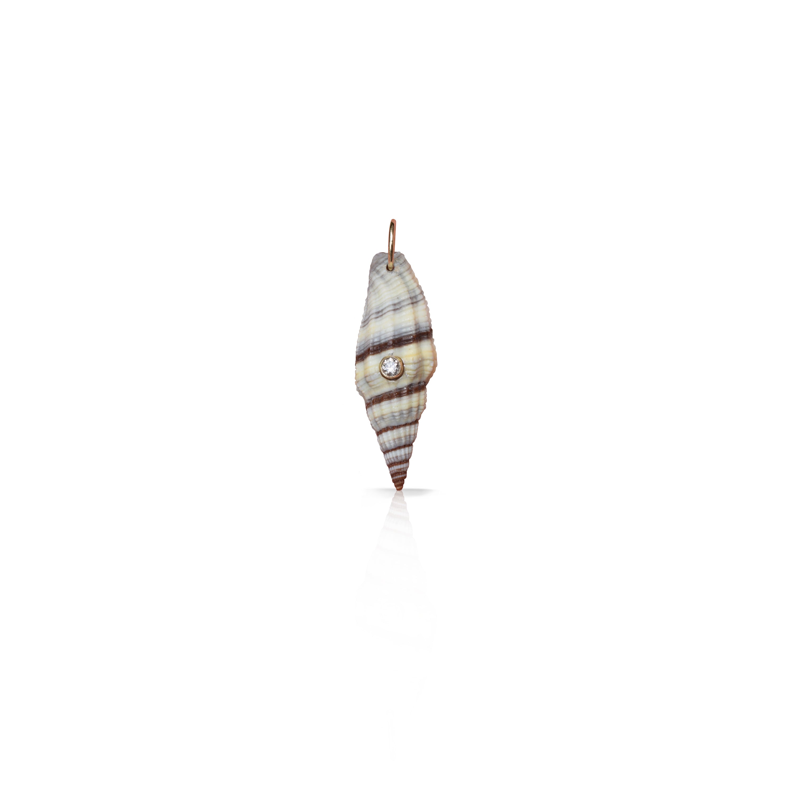 14k Baby Conch Shell Charm