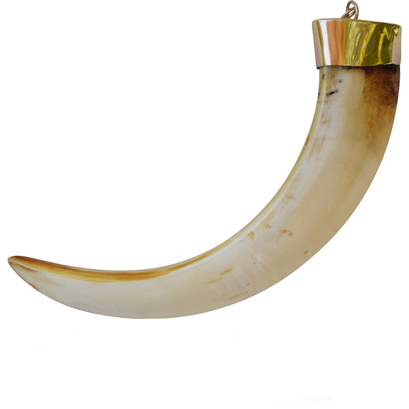 Gold Cap Tusk Pendant