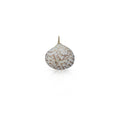 14k Venus Clam Shell Charm