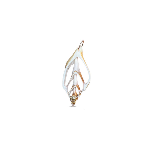 14k Sliced Strombus Shell Pendant